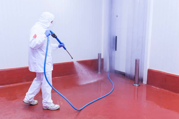 Best Roof Washing  in Bunker Hl, IL