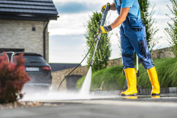 Best Solar Panel Cleaning  in Bunker Hl, IL